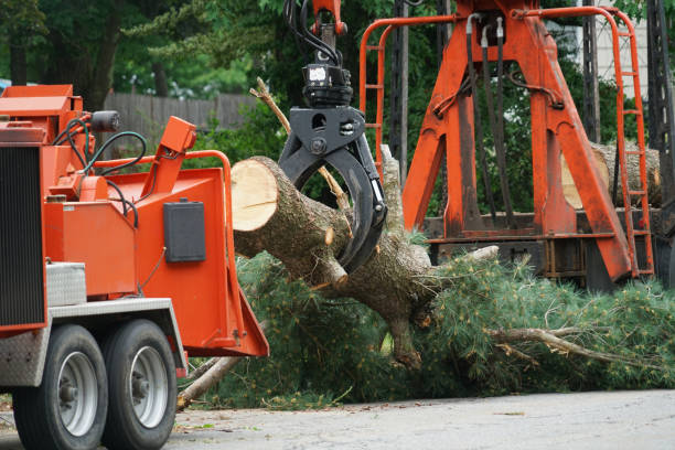 Best Grass Overseeding  in Kensington, MD